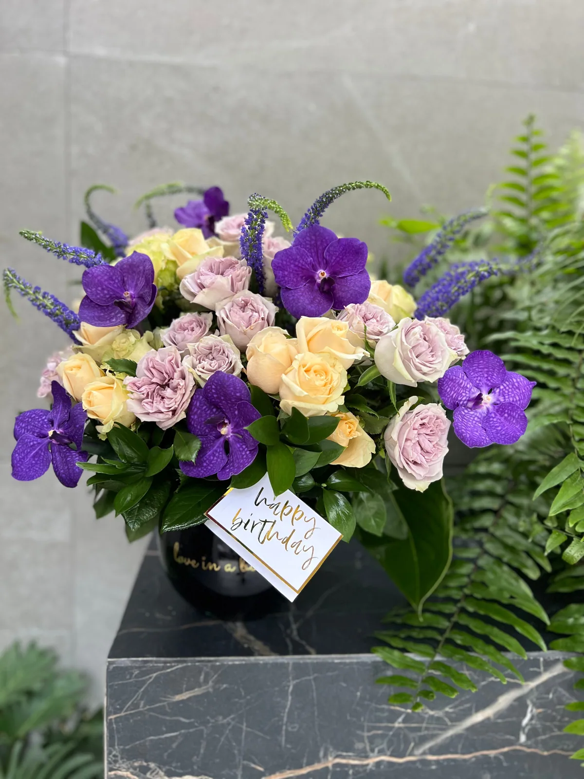 Purple vanda
