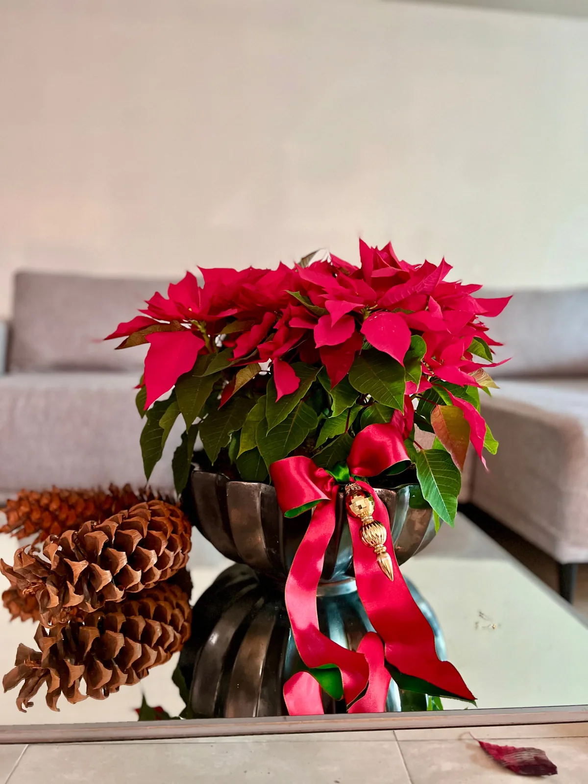 Merry !